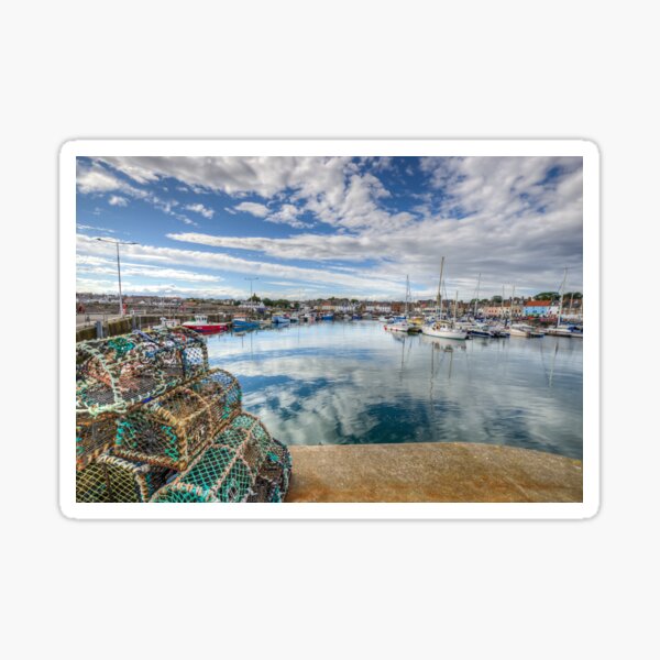 Anstruther Harbour In Fife Scotland Sticker