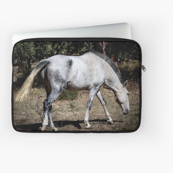 Aperçu de l'œuvre  Beau cheval sur le terrain créée et vendue par SandraC-Duarte.