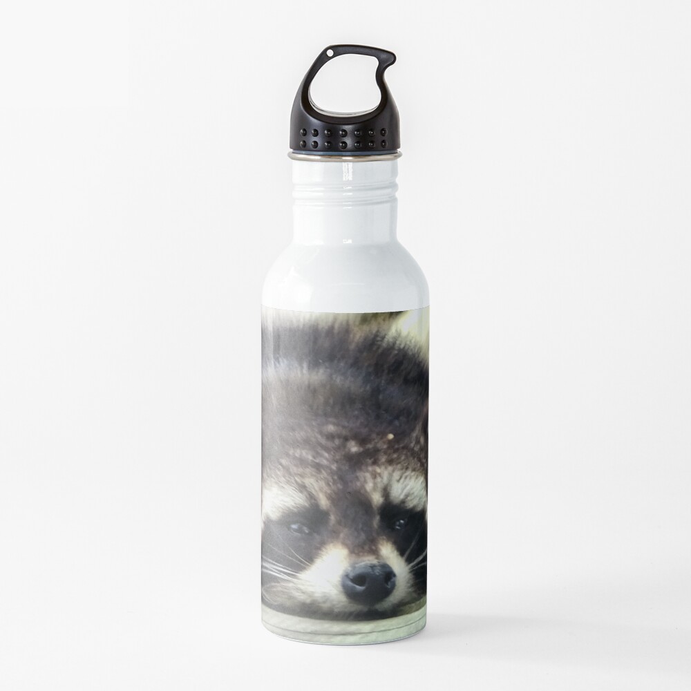 Tired Raccoon Water Bottle