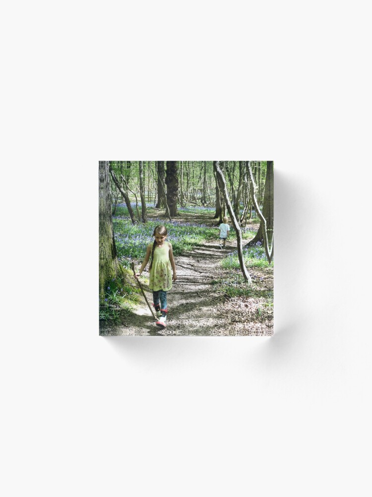 Alternate view of In the bluebell woods Acrylic Block