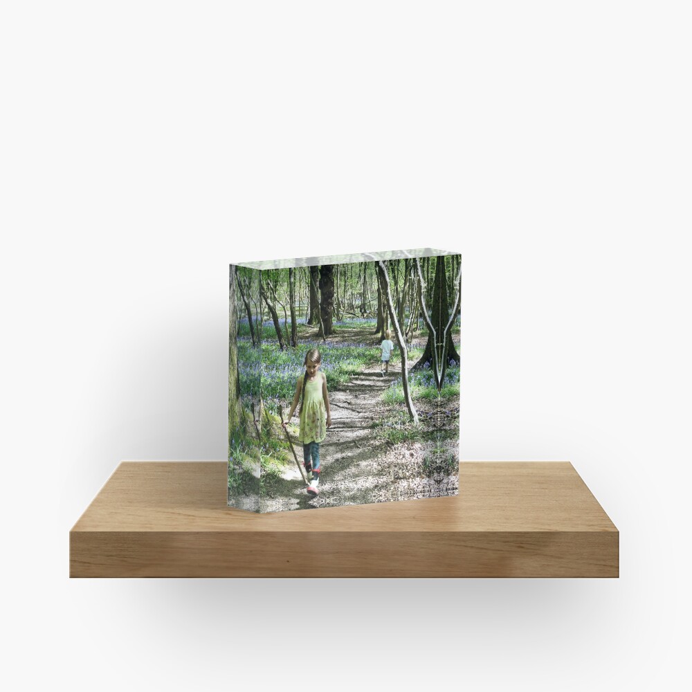 In the bluebell woods Acrylic Block