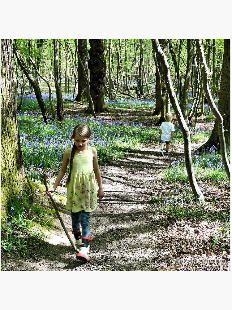 In the bluebell woods by chihuahuashower