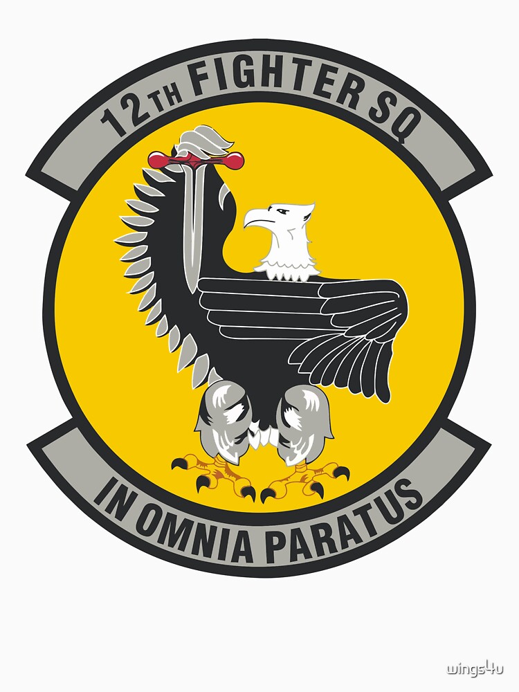 Model 78 - 309th Fighter Squadron by wings4u