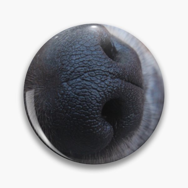 Item preview, Eddie's Nose designed and sold by Susie Kramer.