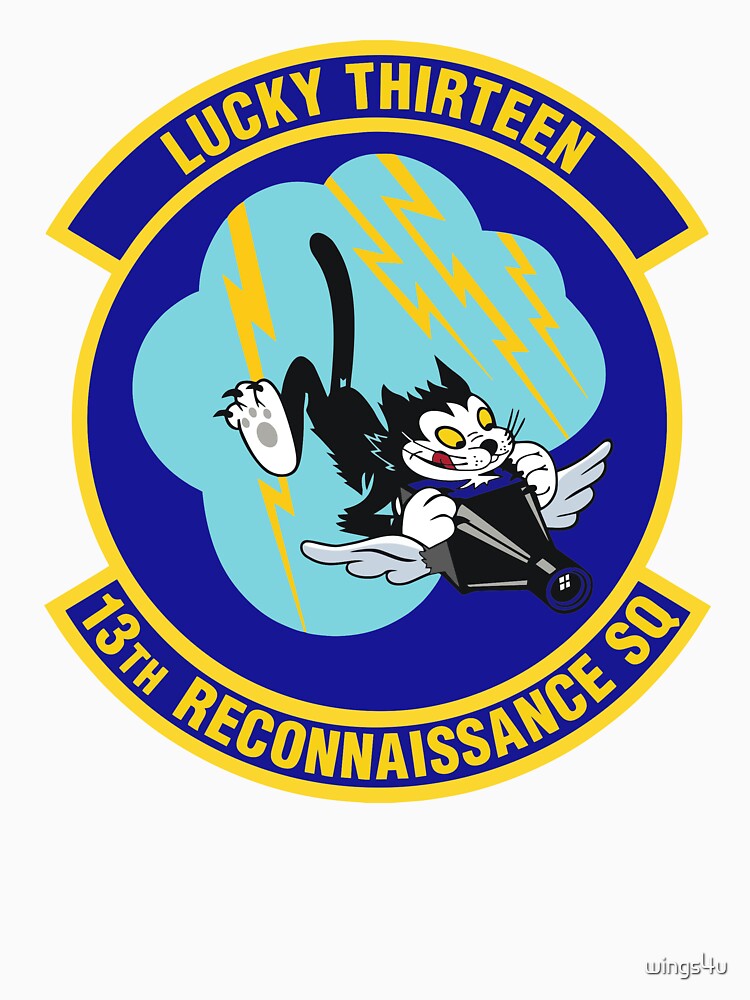 Model 81 - 13th Reconnaissance Squadron by wings4u