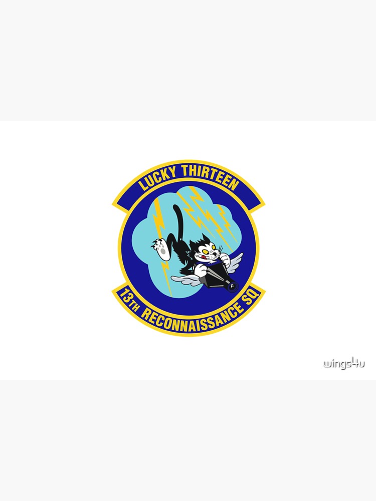 Model 81 - 13th Reconnaissance Squadron by wings4u