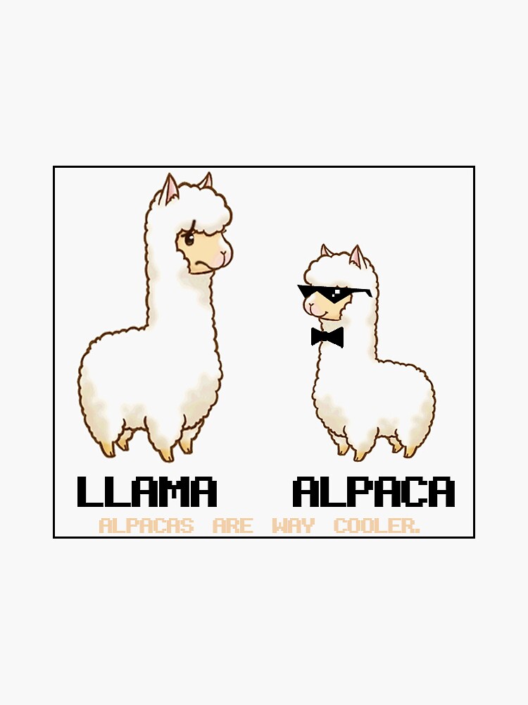 Llamas vs. Alpacas