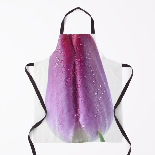 Artikelvorschau, Tulipa & Pittsburg & # 39; Triumph Tulpe entworfen und verkauft von Chris Burrows.