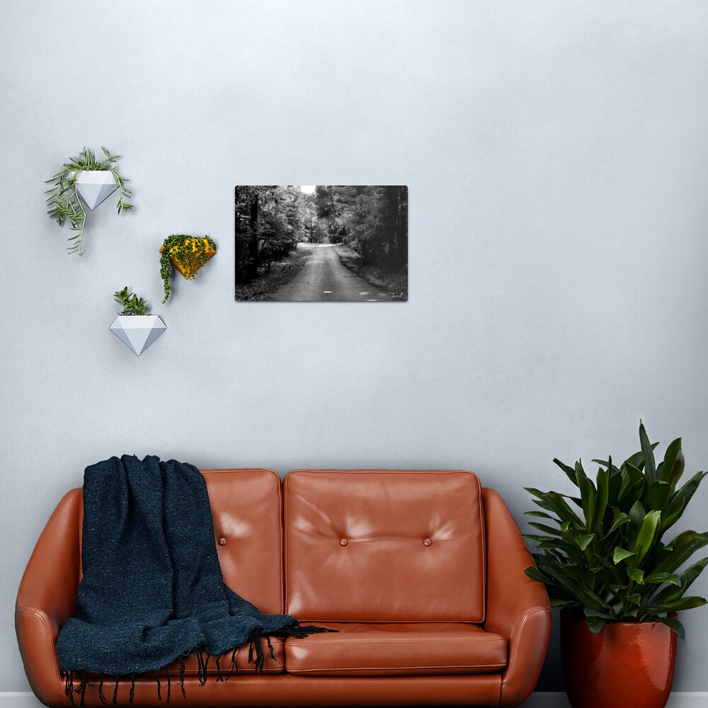 Louisiana Road Metal Print