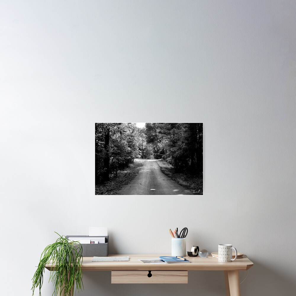 Louisiana Road Poster