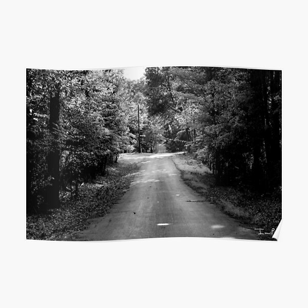 Louisiana Road Poster