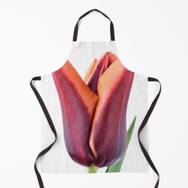 Aperçu de l'œuvre Tulipa & Slawa & # 39; Triomphe Tulipe créée et vendue par Chris Burrows.