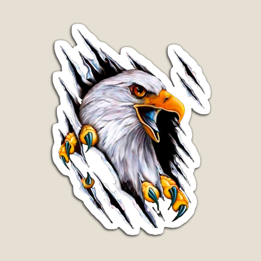 Philadelphia Eagles FLY EAGLES FLY Green Eyed Eagle Logo Type Football  MAGNET