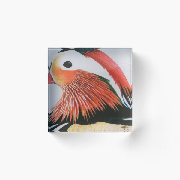 Mandarin Duck Acrylic Block