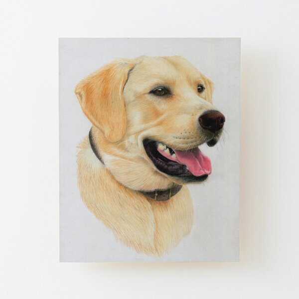 Golden Labrador Wood Mounted Print