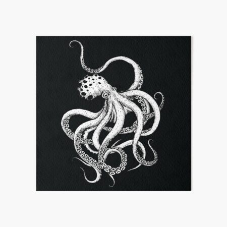 Octopus Black and White Arts Art Board Print