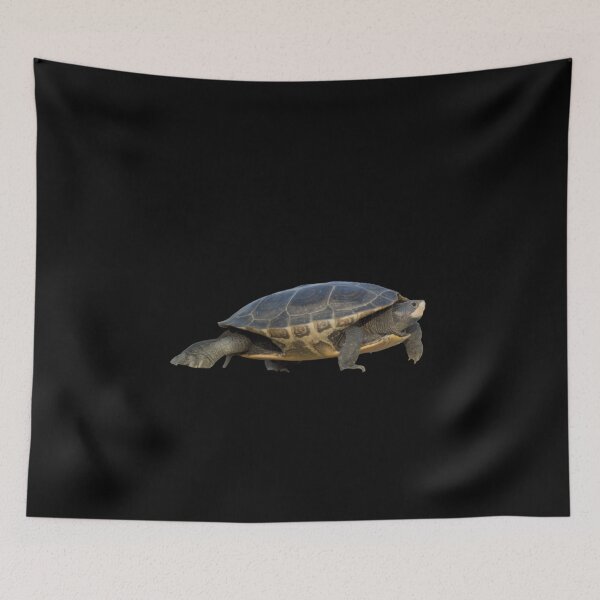 Item preview, Land turtle designed and sold by TravelTemple.
