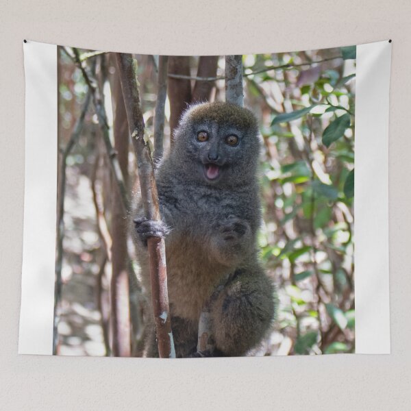 Item preview, Bamboo lemur, Madagascar designed and sold by HazelWright.