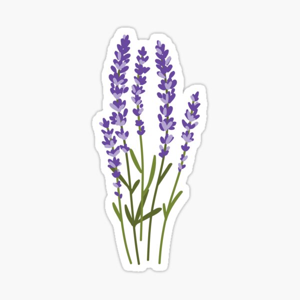 Aquarelle lavande Sticker