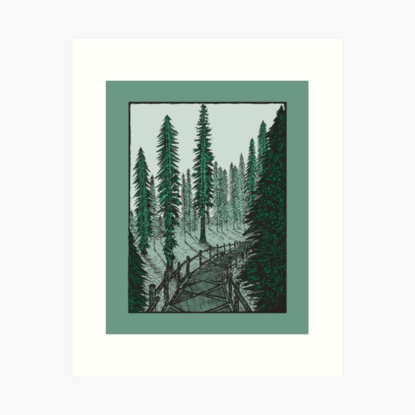 Carbon Canyon Redwood Grove Trail Art Print