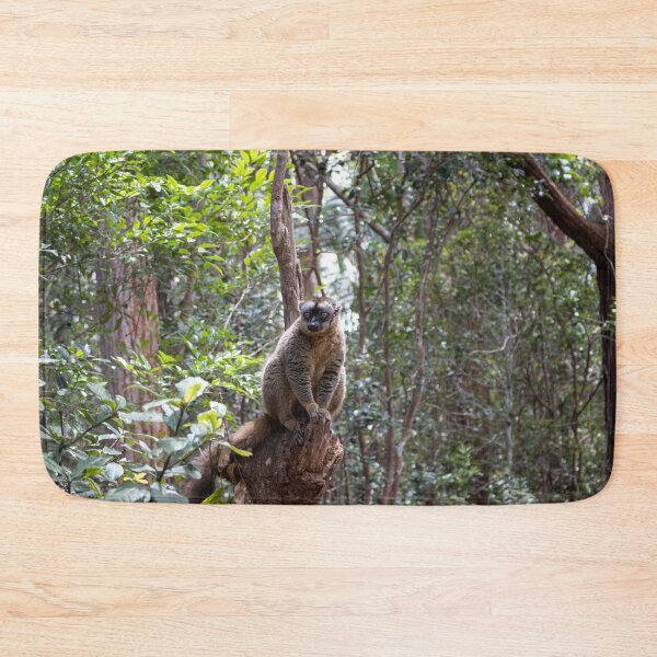 Item preview, Common brown lemur, Madagascar designed and sold by HazelWright.