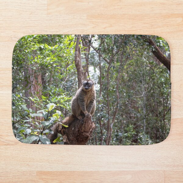 Item preview, Common brown lemur, Madagascar designed and sold by HazelWright.