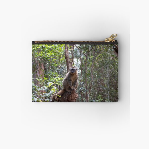 Item preview, Common brown lemur, Madagascar designed and sold by HazelWright.