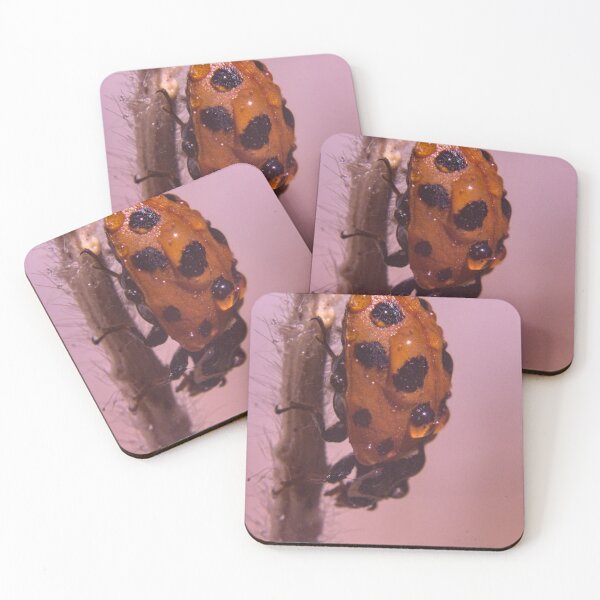 Item preview, ladybug or ladybird lying wet in dew designed and sold by Sergio Roberto Peña y Lillo Lonconao.