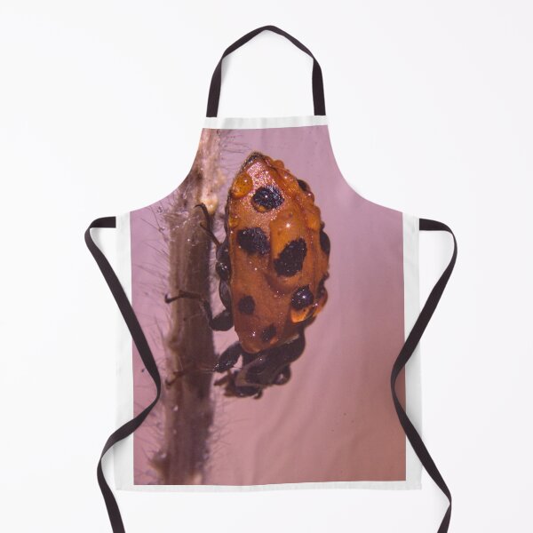 Item preview, ladybug or ladybird lying wet in dew designed and sold by Sergio Roberto Peña y Lillo Lonconao.