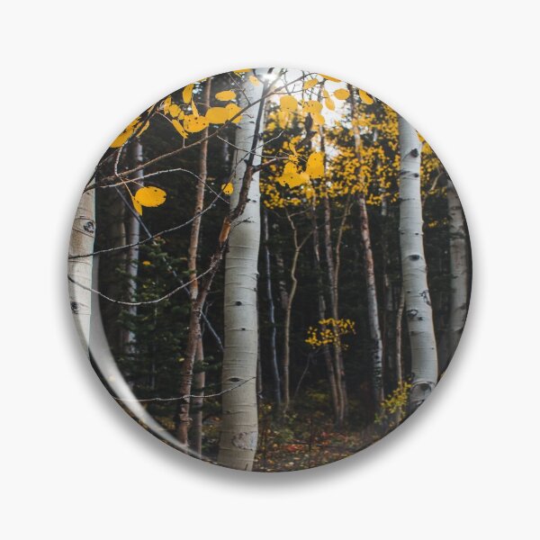 Item preview, Light Fall Forest designed and sold by JLPhotographer.