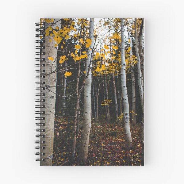 Item preview, Light Fall Forest designed and sold by JLPhotographer.