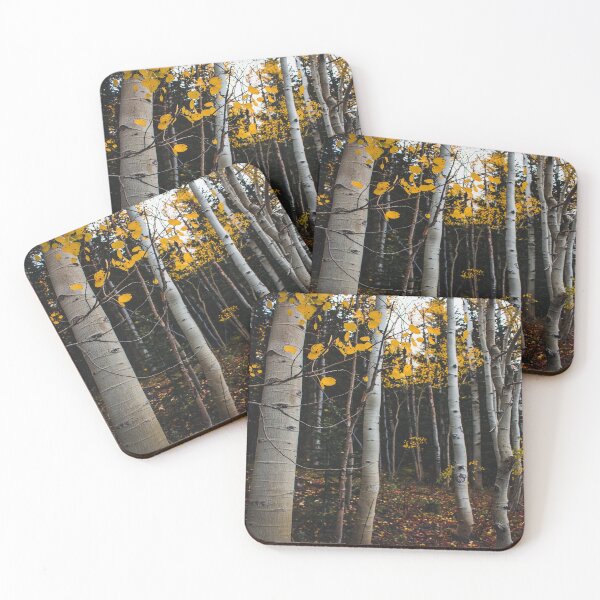 Item preview, Light Fall Forest designed and sold by JLPhotographer.
