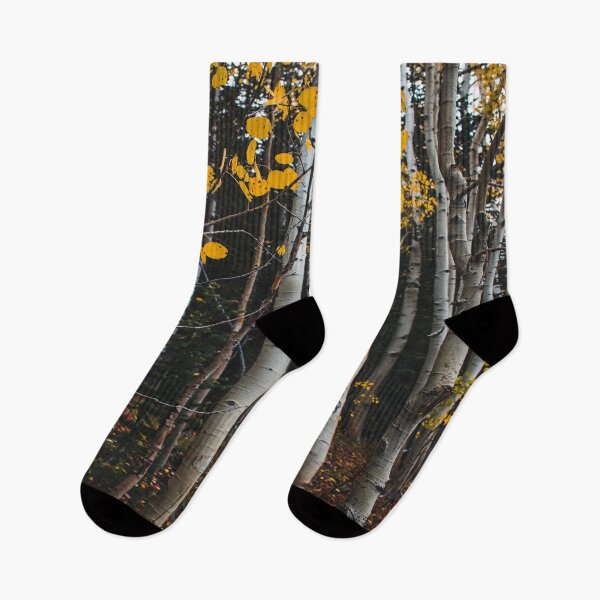 Item preview, Light Fall Forest designed and sold by JLPhotographer.