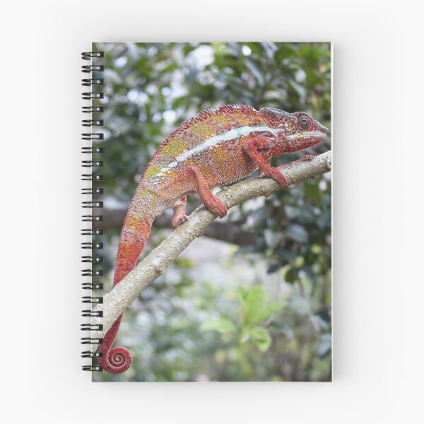 Item preview, Panther chameleon, Madagascar designed and sold by HazelWright.