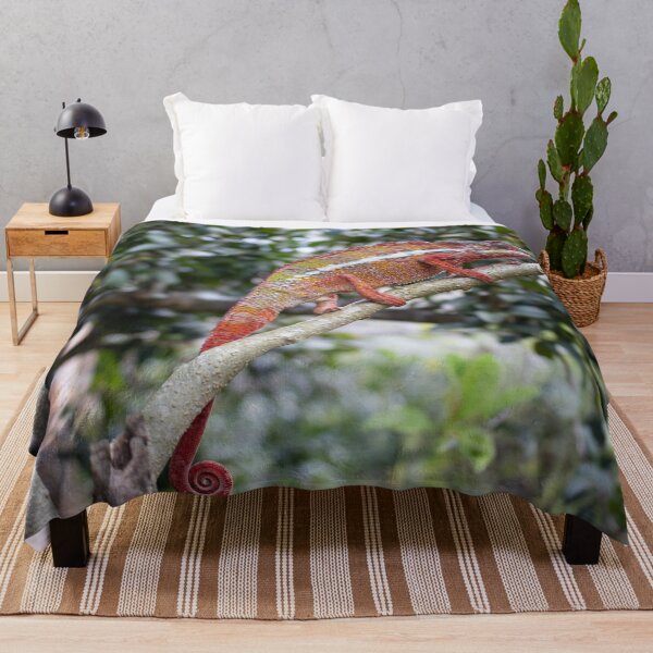 Item preview, Panther chameleon, Madagascar designed and sold by HazelWright.