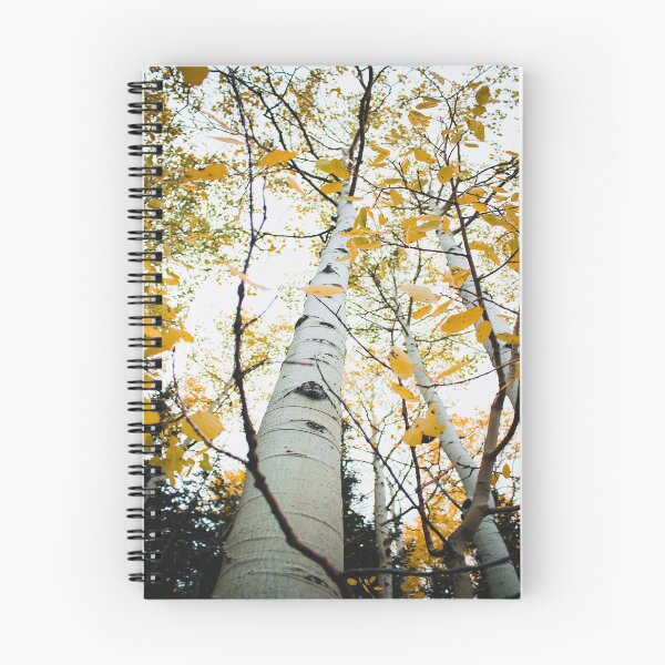 Item preview, Giant Fall Aspen Trees designed and sold by JLPhotographer.
