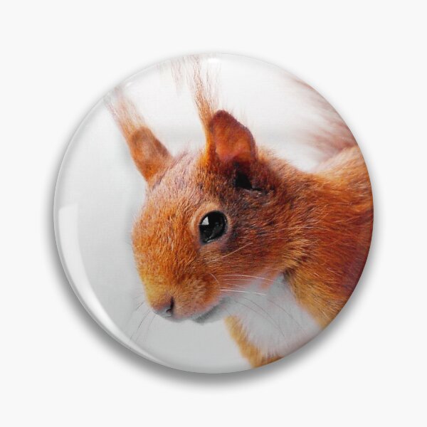Item preview, Squirrel - squirrel designed and sold by Glineur.