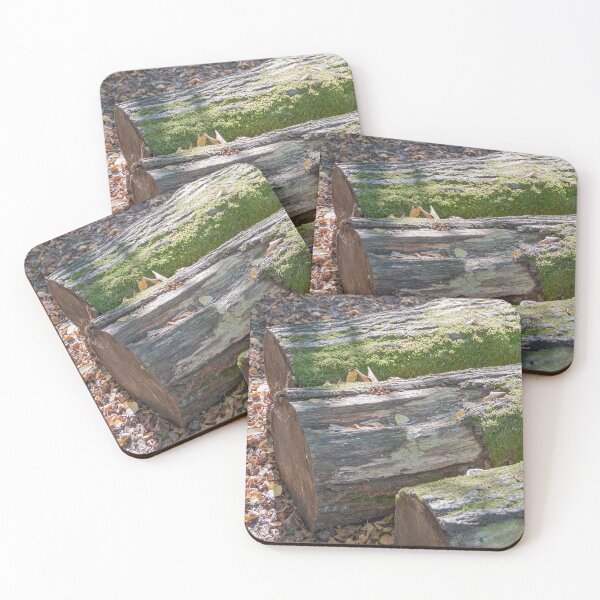 Item preview, Old logs designed and sold by EngineerGoC.