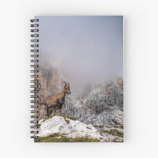 Item preview, Steinbocks in the Julian alps designed and sold by zakaz86.