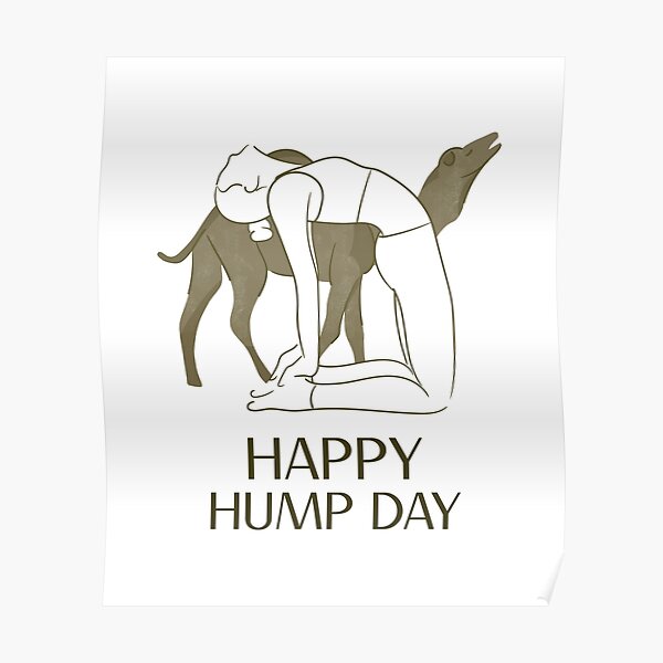 Hump Day Posters | Redbubble