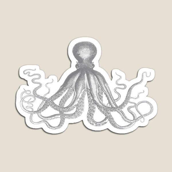 Octopus | Vintage Octopus | Tentacles | Sea Creatures | Nautical | Ocean | Sea | Beach | Grey and White | Magnet