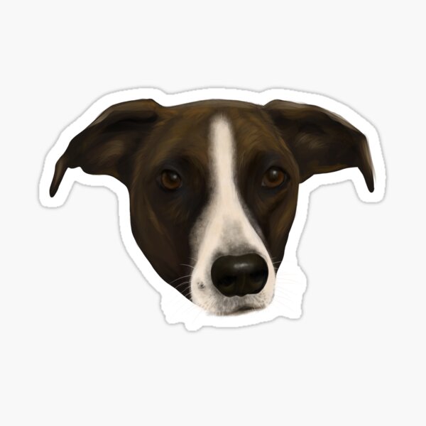 Sweet Pointer Hound Portrait Sticker
