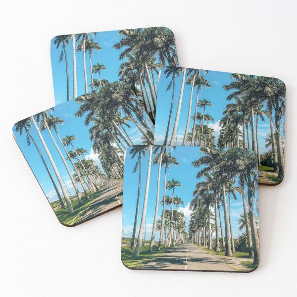Item preview, Beautiful Palm Tree Alley designed and sold by TravelbyNana.