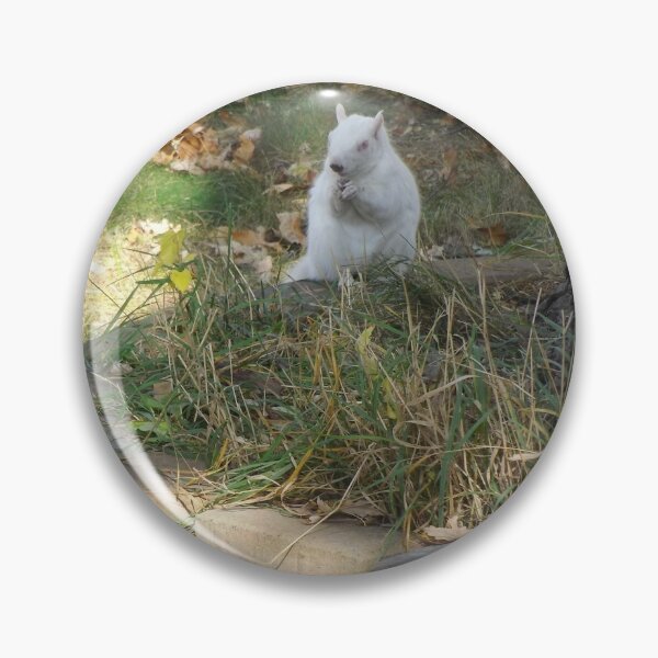 Item preview, White Squirrel Ready for Winter designed and sold by JessParkerPMP.