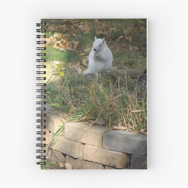 Item preview, White Squirrel Ready for Winter designed and sold by JessParkerPMP.