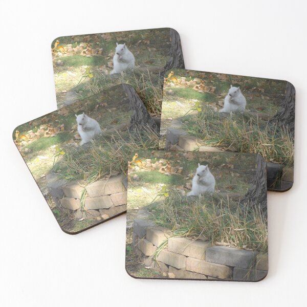 Item preview, White Squirrel Ready for Winter designed and sold by JessParkerPMP.