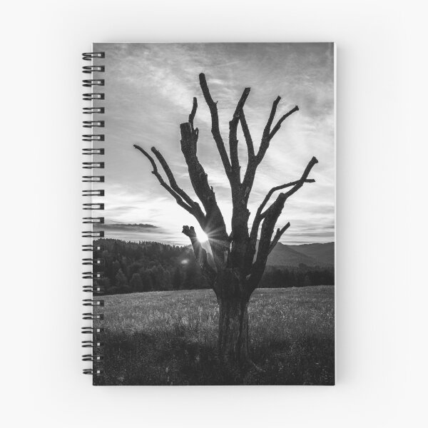 Item preview, Bieszczady Mountains designed and sold by Mariusz Pogorzelski Photography.