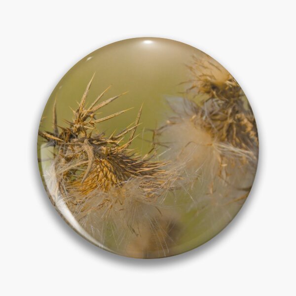 Item preview, Fluffy seeds of a thistle plant designed and sold by xophotography.