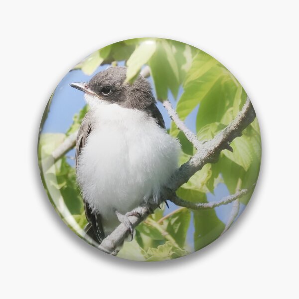 Item preview, Baby Eastern Kingbird designed and sold by Anita Oakley.