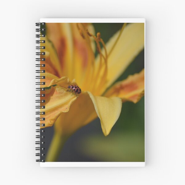 Item preview, Lady Bugs and Flowers designed and sold by clearcreekart.